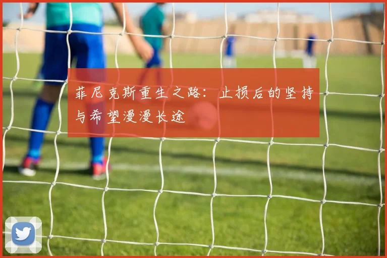 菲尼克斯重生之路：止损后的坚持与希望漫漫长途