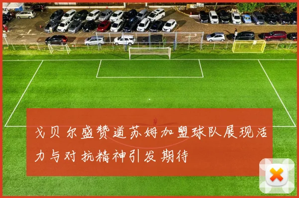 戈贝尔盛赞道苏姆加盟球队展现活力与对抗精神引发期待
